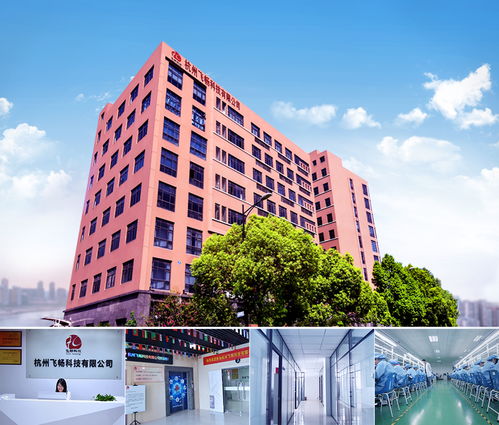 Cisco核心交換機(jī)與雙路由器連接配置及工業(yè)交換機(jī)品牌推薦