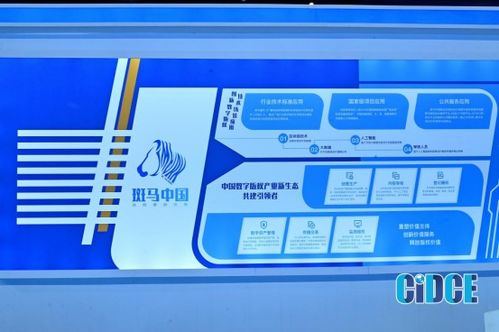 斑馬中國(guó) 助力VJ師網(wǎng)版權(quán)資源交易變現(xiàn)，引領(lǐng)數(shù)字文化創(chuàng)意軟件開(kāi)發(fā)新潮流